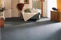 A Clean Carpet Benefits Helth, Happiness and EconomyImage with link to high resolution version