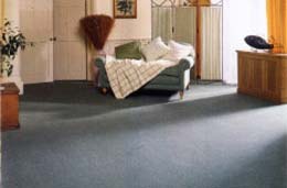 image shows: A Clean Carpet Benefits Helth, Happiness and Economy