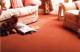 image shows: A Clean Carpet Benefits Helth, Happiness and Economy