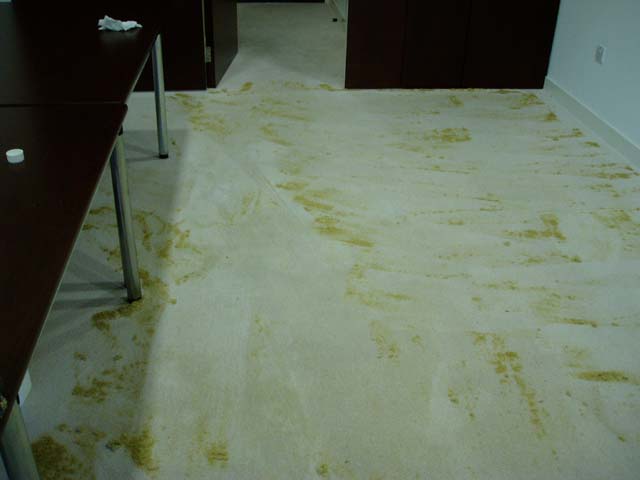 Image of caption_14