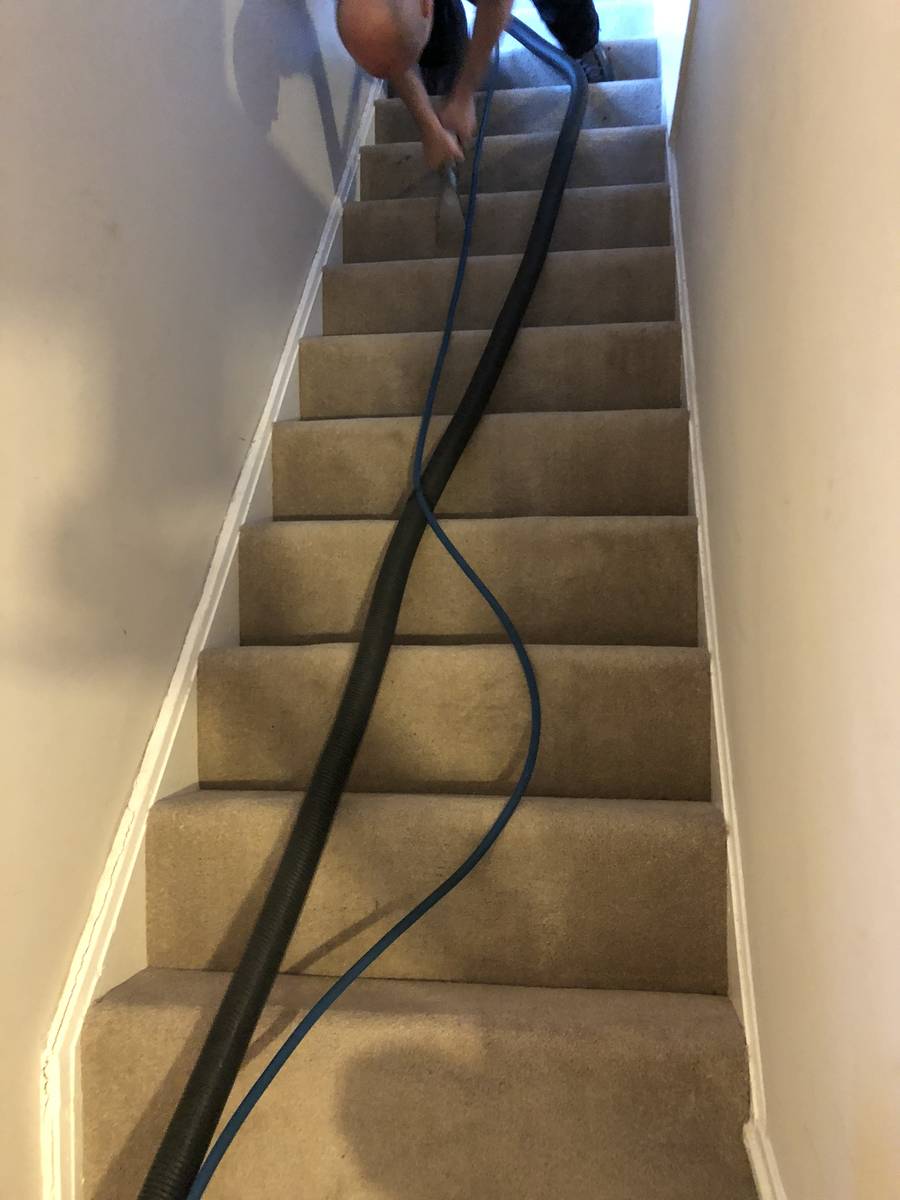 image shows: domestic carpet cleaning essex