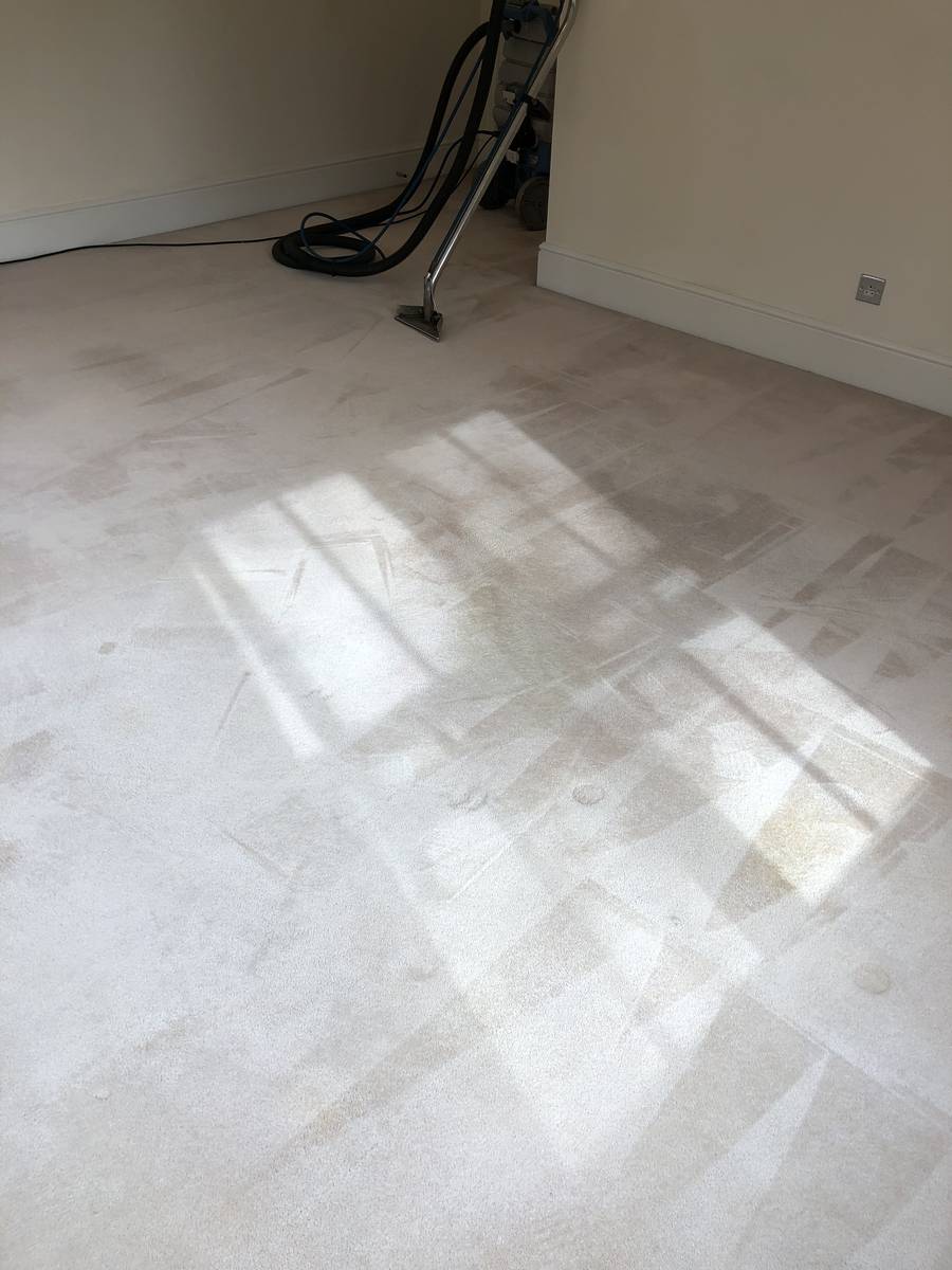 image shows: domestic carpet cleaning essex