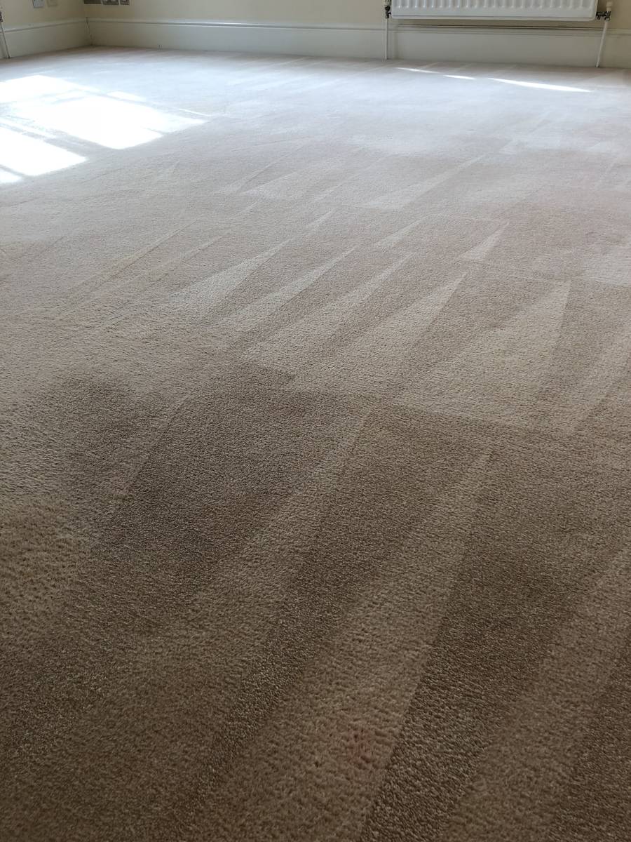 image shows: domestic carpet cleaning essex