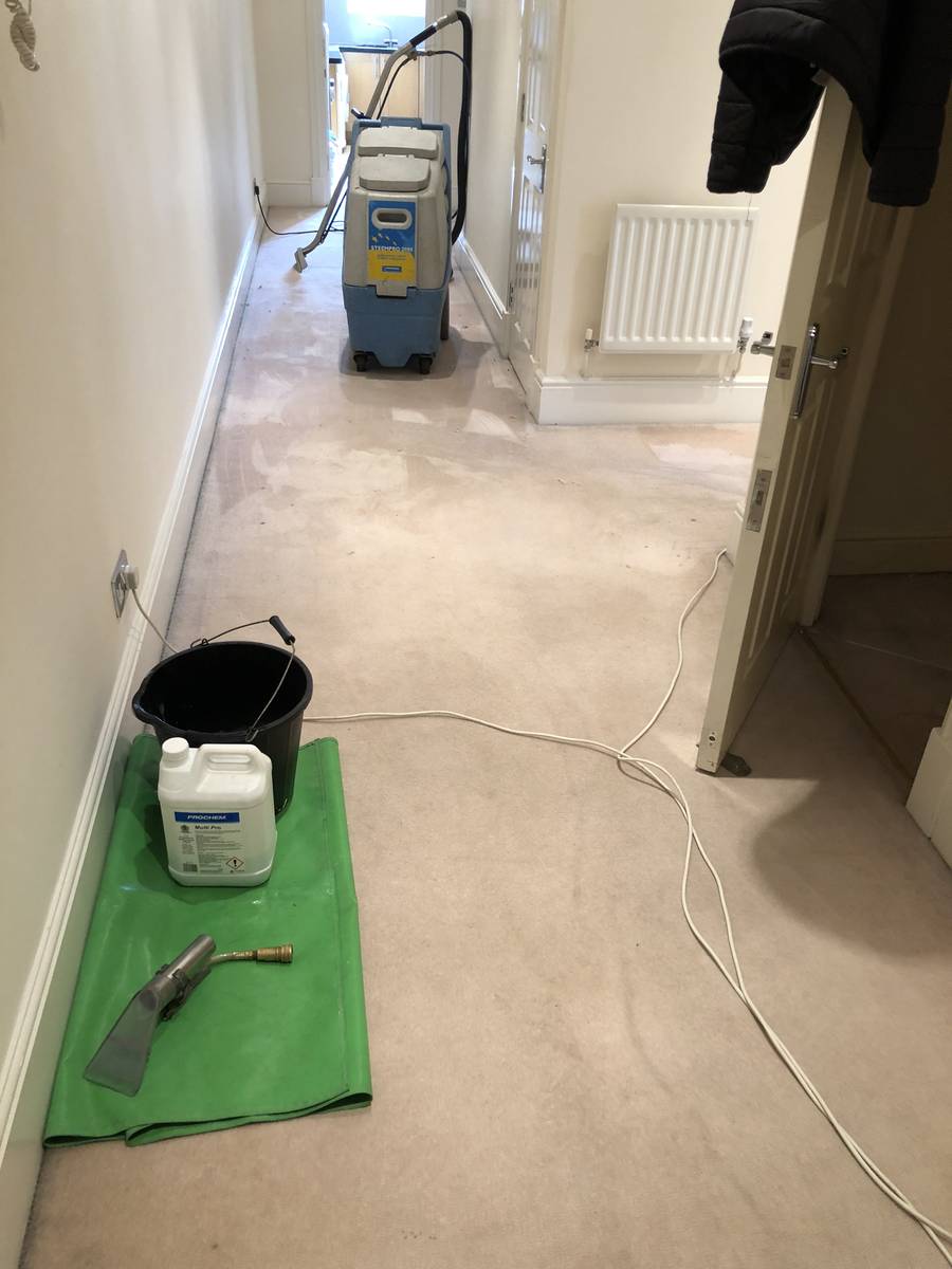 image shows: domestic carpet cleaning essex