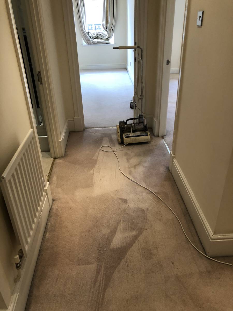 image shows: domestic carpet cleaning essex