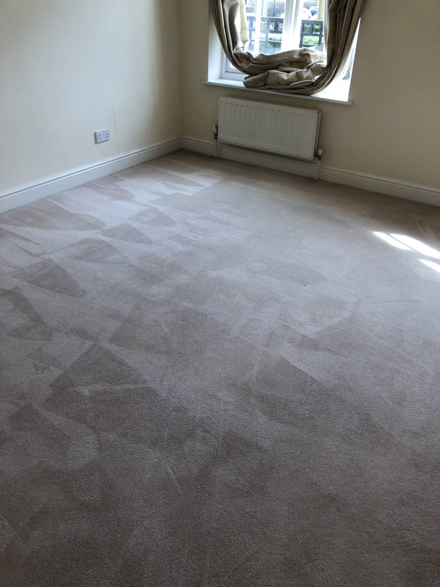 image shows: domestic carpet cleaning essex