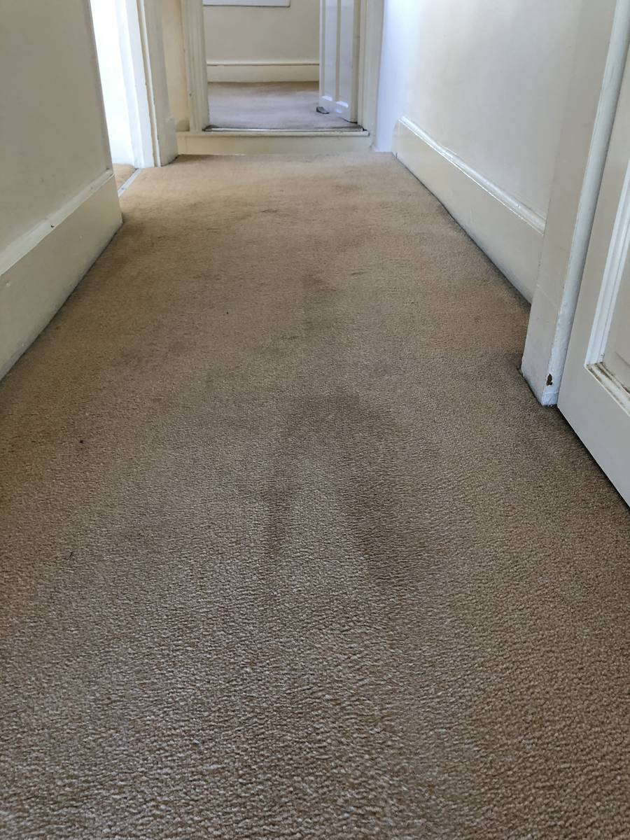 image shows: domestic carpet cleaning essex
