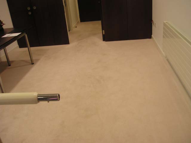 Image of caption_15