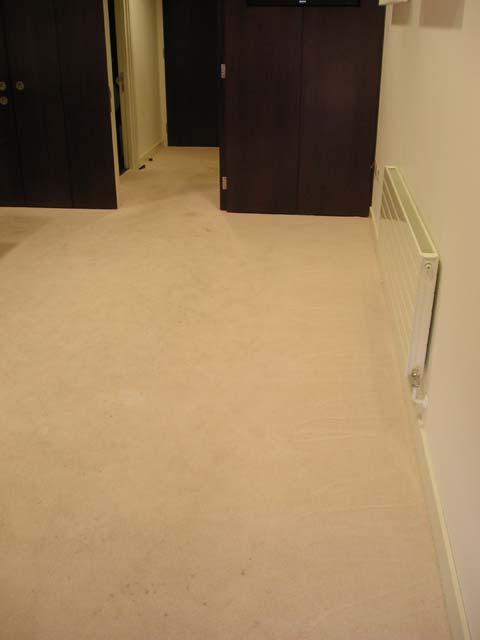Image of caption_16